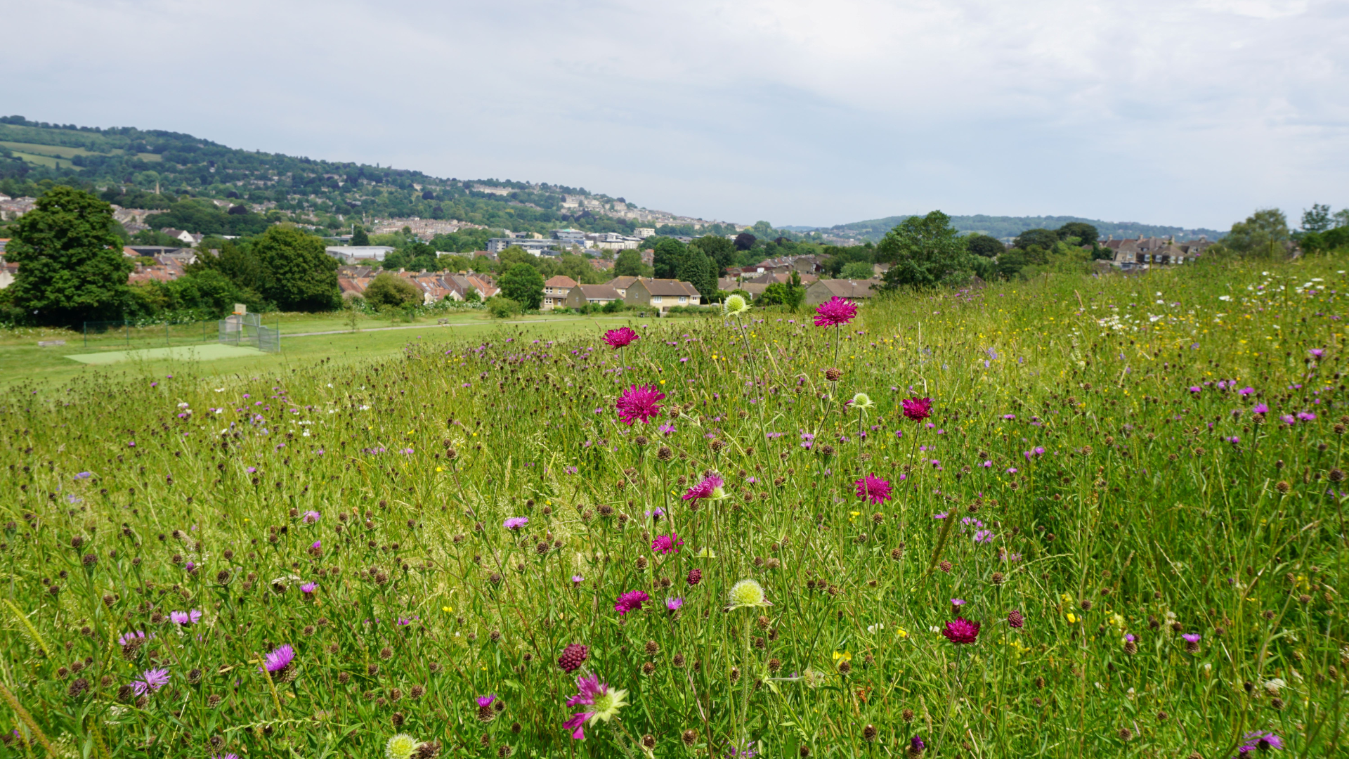 Civic anchors reiterate sustainability commitment